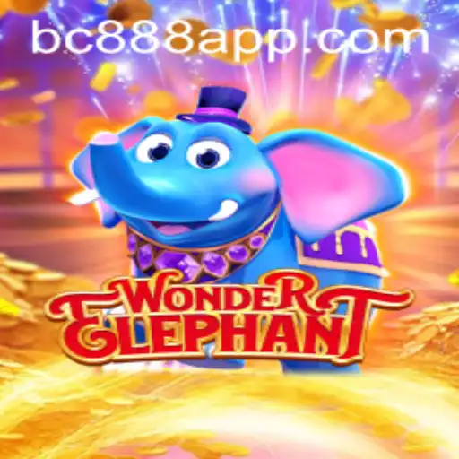 Unveiling the Mysteries of WonderElephant on BC888.com